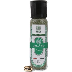 تصویر پونه کوهی 