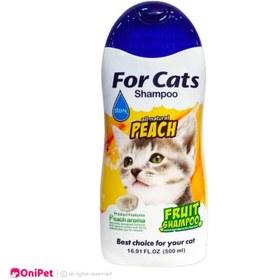 تصویر شامپو ضد عفونی کننده گربه بی بی ان BBN Cats Shampoo