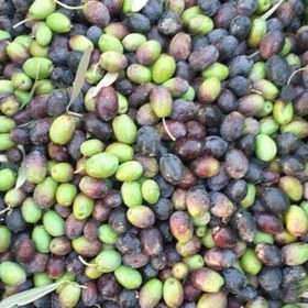 تصویر روغن زیتون اسپانیایی سابروسو بدون بو کیفیت عالی (ارسال رایگان) یک کارتن 4 عددی 