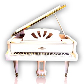تصویر پیانو برگمولر ACOUSTIC Grand 170 