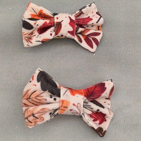 تصویر پاپیون پاییزه (جفتی) 