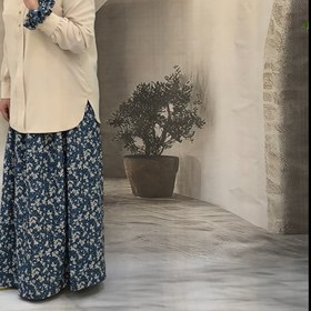 تصویر دامن الی 