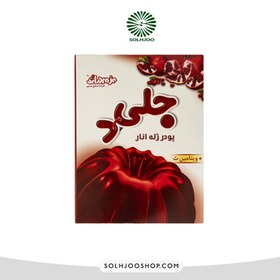 تصویر پودر ژله انار دراژه 100 گرمی (Jellyd) 