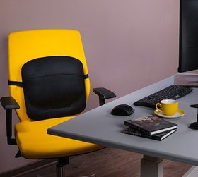 تصویر پشتی طبی بارادLs1 LS1