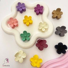 تصویر مینی کلیپس گل بابونه 