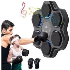 تصویر کیسه بوکس هوشمند دیواری مدل ۱-۶۵۱۰ 