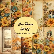 تصویر تمساز آفتابگردان 