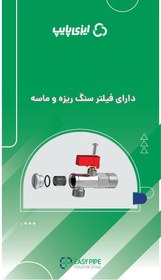 تصویر شیر پیسوار کسری 