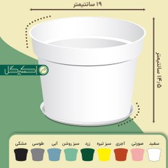 تصویر گلدان ژله‌ای پاچیرا مدل P19 