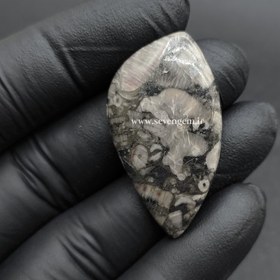 تصویر نگین فسیل کرینوئید (کدA687) 