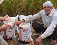 تصویر برنج طارم هاشمی عطری کشت اول امساله 