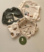 تصویر دورس داخل کرکی کد ۰۱۴۴ - ۲تا۳سال / حیوانات دورس 