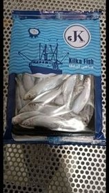 تصویر ماهی کیلکا ۵۰۰ گرم 