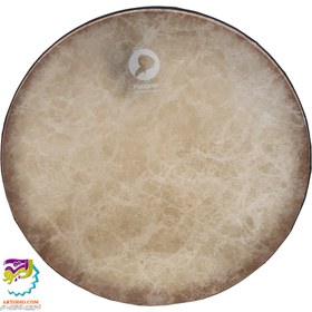 تصویر دف متاع پور 