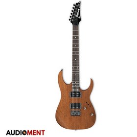 تصویر گیتار الکتریک IBANEZ RG421-MOL 