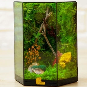 تصویر فروشگاه خانه گل گلوريا