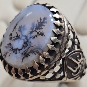 تصویر انگشتر نقره شجر 