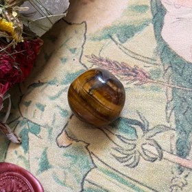 تصویر چشم ببر ۰۴ 