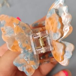 تصویر کلیپس پروانه 