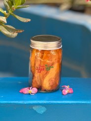 تصویر انبه خشک - باکس پوچ پلاستیکی / 500 گرم Dried mango