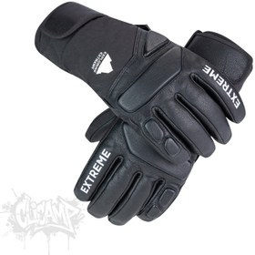 تصویر دستکش اسکی EX2 چرمی 