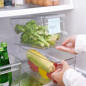 تصویر نظم دهنده یخچال ایکیا مدل KLIPPKAKTUS سایز ۳۲x۱۰x۱۵ سانتی‌متر 