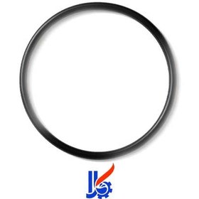 تصویر اورینگ شیر فیلتر شنی ایمکس Emaux سری P 