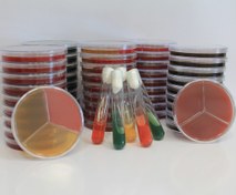 تصویر محیط آماده بلاد آگار (پلیت 6 سانت) - دارواش Blood Agar (6 cm plate) - Darvash