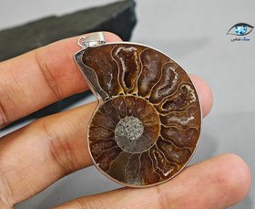 تصویر فسیل امونیت زیبا 13 گرم 