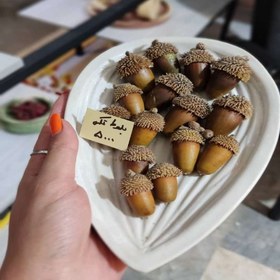 تصویر بلوط خشک پک 10 عددی