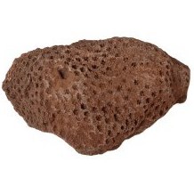 تصویر فسیل مرجان اسکلراکتینی 