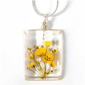 تصویر گل خشک ژیپسوفیلا بسته 40 عددی 