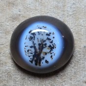 تصویر باباقوری قائن زیبا خاص کمیاب. 