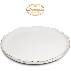 تصویر دیس گرد موج بزرگ 