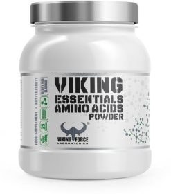 تصویر ای ای ای وایکینگ فورس 