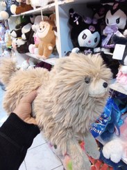 تصویر سگ خوابیده aaaa