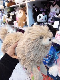 تصویر سگ خوابیده aaaa