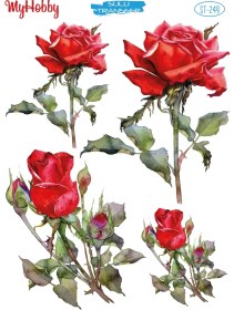 تصویر ترانسفر آبی My Hobby کد 249 