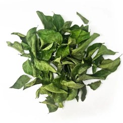تصویر برگ کاری خشک ( کاری پاتا) Curry Leaves / Kari Patta 