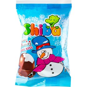 تصویر بستني زمستاني 96گرم شيبا 