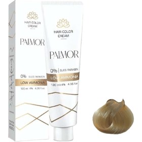 تصویر پالمور 10.7 