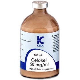 تصویر سفوکل کلا (Cefokel ) 