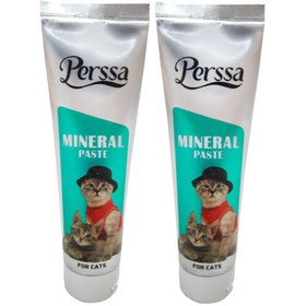 تصویر خمیر مینرال گربه پرسا مدل Mineral Paste وزن 100 گرم بسته 2 عددی ۲۰۰ گرم پرسا سگ و گربه