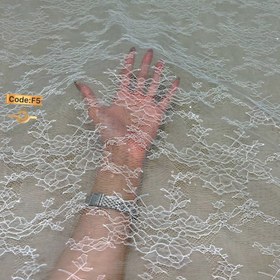 تصویر فرانسه پولک کد: F5 