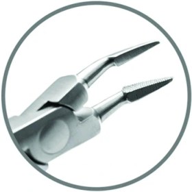 تصویر وینگارت - NADIR 