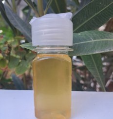 تصویر روغن بادام تلخ - 30cc Bitter Almond Oil - Natural Extract