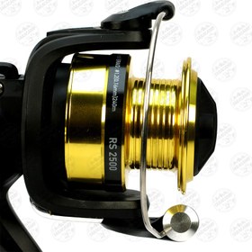 تصویر چرخ ماهیگیری دایوا مدل Daiwa RS2500 