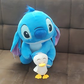 تصویر استیج اردک به دست 