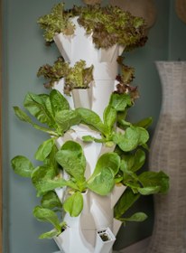 تصویر برج هیدروپنیک 