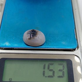 تصویر نگین شجر طبیعی کد ۱۲۰۸۴ 